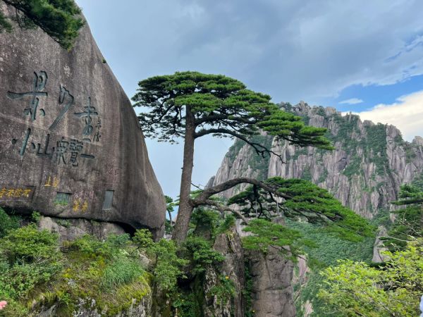 黃山景觀設計聯系電話（黃山景觀設計聯系電話地址）