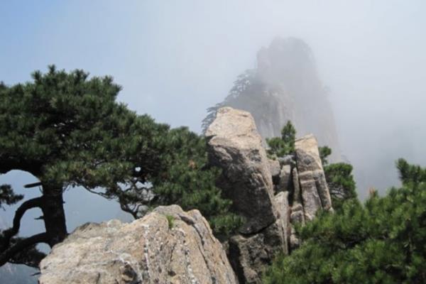 黃山景觀設計聯系電話（黃山景觀設計聯系電話地址）