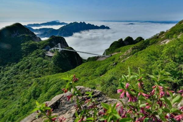 大連景區(qū)排行榜（大連景區(qū)排行榜前十）