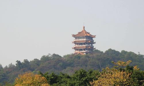 廣州公園排行榜（廣州網(wǎng)紅打卡景點大全排名榜）