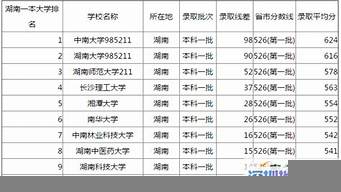 2017湖南大學(xué)排行榜（2017湖南大學(xué)排行榜最新）