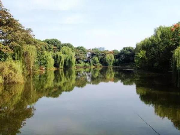 馬鞍山公園園林景觀設計（馬鞍山公園園林景觀設計公司）