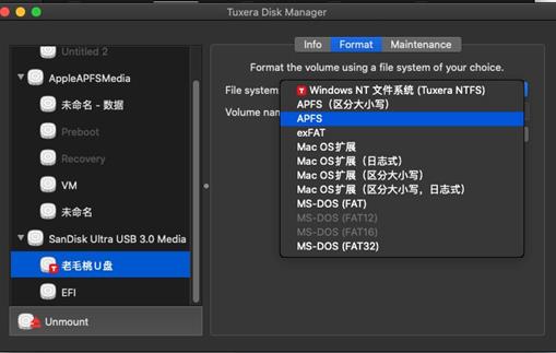 磁盤格式化為APFS（磁盤格式化為APFS）