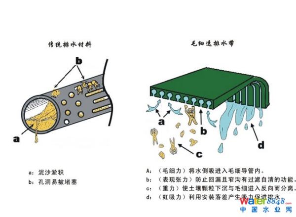 毛細管的作用的兩個例子（毛細管作用現(xiàn)象）