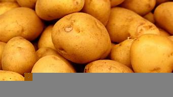 potato軟件最新版本（potato軟件最新版本蘋果）