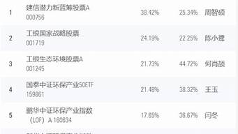 晨星中國(guó)基金排行榜（晨星中國(guó)2019基金排行榜）