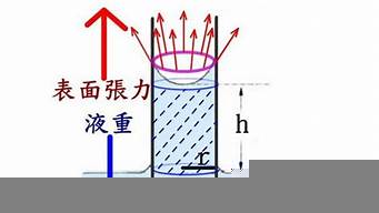 毛細(xì)現(xiàn)象的4個例子