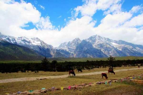 云南大理居住區(qū)景觀設計（云南大理居住區(qū)景觀設計招聘）