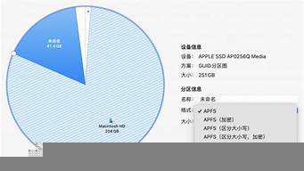 mac分區(qū)格式選apfs還是macos（mac分區(qū)格式選apfs還是macos分幾個區(qū)）