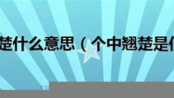 個(gè)中好手是什么意思（個(gè)中好手是成語嗎）