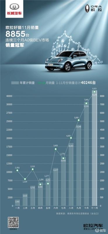 a0級車銷量排行榜（a0級車銷量排行榜前十名）