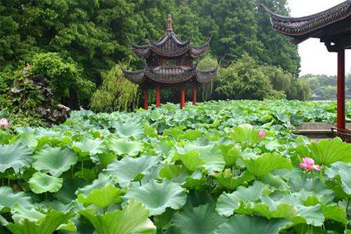 杭州的旅游十大景點（杭州必去三個景點）