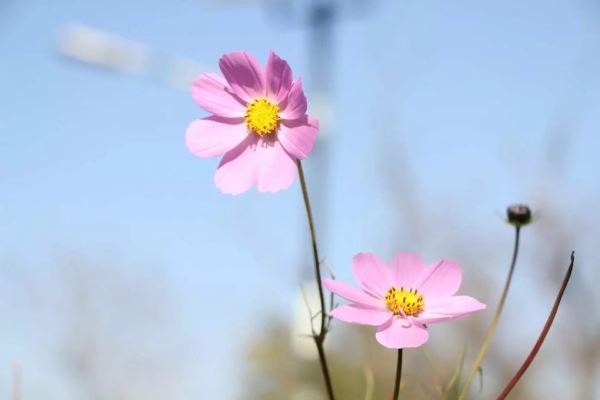 杭州師范大學(xué)國(guó)際商務(wù)（杭州師范大學(xué)國(guó)際商務(wù)分?jǐn)?shù)線）